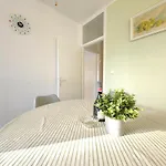 None Apartment Split